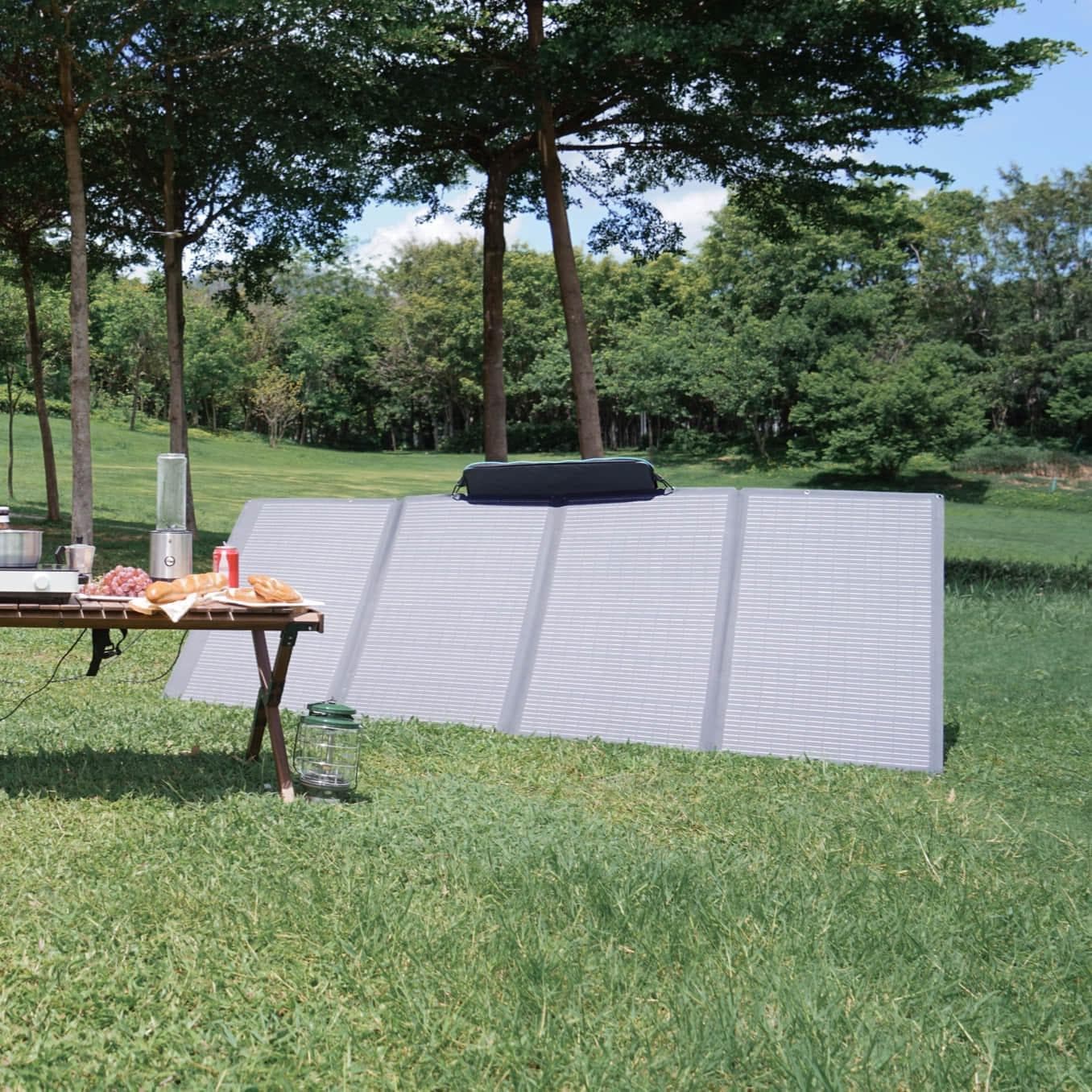 EcoFlow 400W Portable Solar Panel (Recommended Accessories) - Image 5