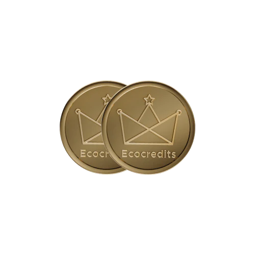 1000 EcoCredits - Flash Sale - Image 2